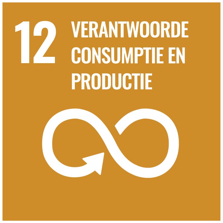 12 Verantwoorde consumptie en productie